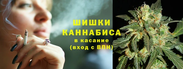 бутират Горняк