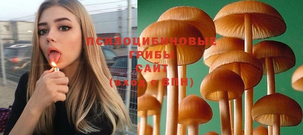 прущий лед Горнозаводск